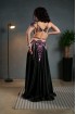 Professional bellydance costume (Classic 333 A_1